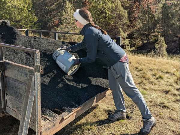 Heron filling biochar bucket