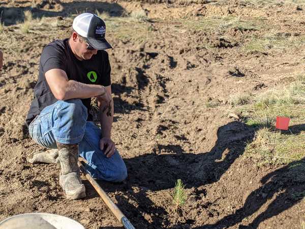 Grant Planting